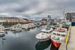 Bodø. Hafen
