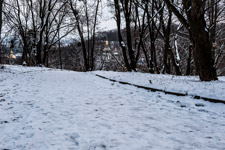 Kiew. Botanischer Garten. Winter