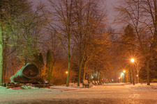 Киев. Зимний вечер в Крещатом парке
