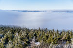 Nationalpark Harz. Am Brocken. Nebel
