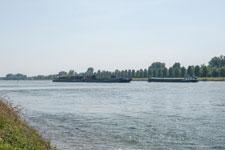 Am Rhein