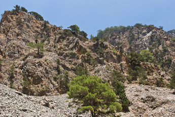 Samaria-Schlucht. Zerklüftete Berge