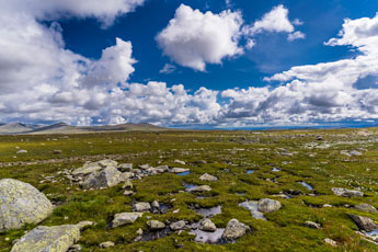 Горное плато Valdresflye