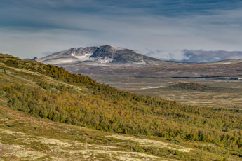 Tverrfjellet. Blick zum Berg Snøhetta