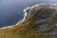 Zum Reinebringen. Insel Moskenesøya