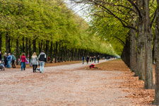 Hannover. Herrenhäuser Allee