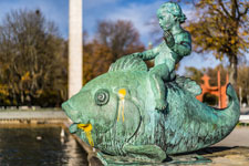 Maschsee. Putte auf dem Fisch