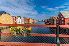 Trondheim. Blumen an der Bybrua