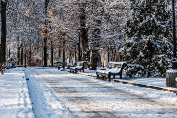 Kiew. Stadt Park