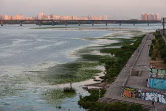 Kiew. Grünes Ufer an der Dneprpromenade