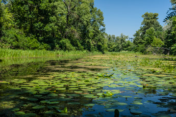 Kiew. Venezianische-Insel