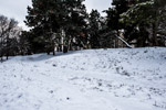 Kiew. Botanischer Garten. Winter