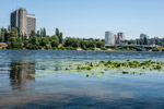 Kiew. Ein Ausblick von der Venezianische-Insel