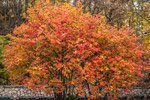 Kiew. An einem Herbst