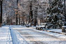 Kiew. Stadt Park