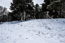 Kiew. Botanischer Garten. Winter