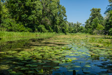 Kiew. Venezianische-Insel