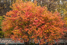 Kiew. An einem Herbst