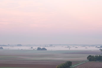 Nebel über die Leineaue