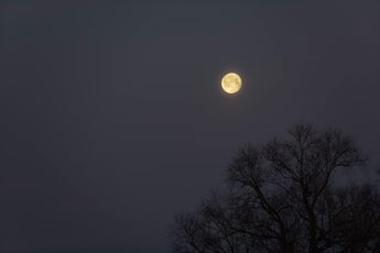 Vollmond