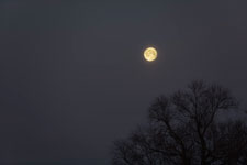 Vollmond