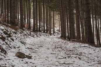 Nationalpark Harz. Ein Traktoren
