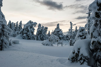 Nationalpark Harz. Unter dem Brocken