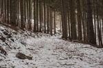Nationalpark Harz. Ein Traktoren
