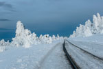 Nationalpark Harz. Am Brocken. Brockenbahn