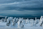 Nationalpark Harz. Abstieg vom Brocken