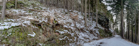 Nationalpark Harz. Ein Weg