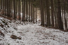 Nationalpark Harz. Ein Traktoren