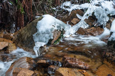 Nationalpark Harz. Ein Bach