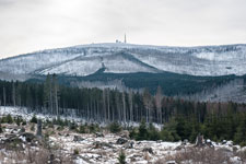 Nationalpark Harz. Brockenblick