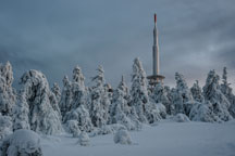 Nationalpark Harz. Unter dem Brocken