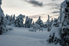 Nationalpark Harz. Unter dem Brocken