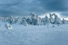 Nationalpark Harz. Unter dem Brocken