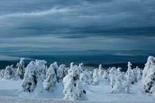 Nationalpark Harz. Abstieg vom Brocken