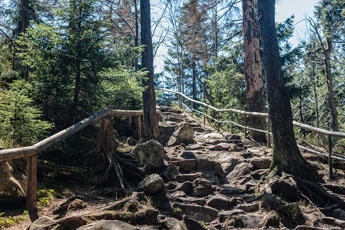 Nationalpark Harz. Achtermannshöhe