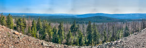 Nationalpark Harz. Achtermannshöhe