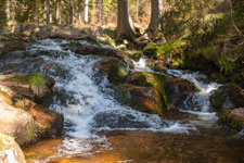 Nationalpark Harz. Warme Bode