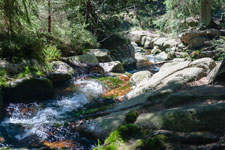 Nationalpark Harz. Warme Bode