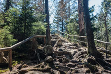 Nationalpark Harz. Achtermannshöhe