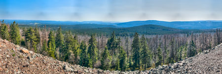 Nationalpark Harz. Achtermannshöhe
