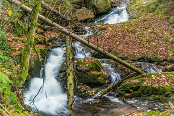 Nationalpark Harz. Ilsefälle