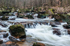 Nationalpark Harz. Ilse