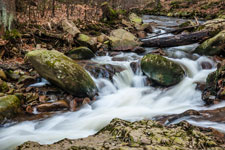 Nationalpark Harz. Ilse