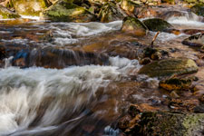 Nationalpark Harz. Ilse
