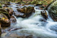 Nationalpark Harz. Ilsefälle am Spätherbst