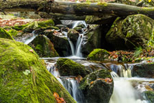Nationalpark Harz. Ilsetal